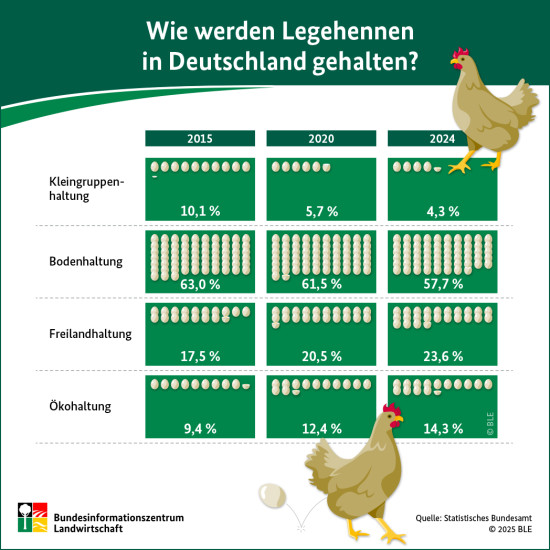 Wie werden Legehennen in Deutschland gehalten?