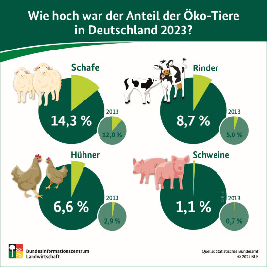 BZL auf einen Blick: Wie hoch war der Anteil der &Ouml;ko-Tiere in Deutschland 2023?