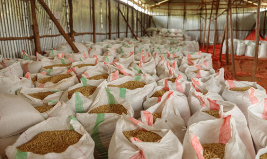 Analyse hinterfragt Preisvorteil von Bio-Kaffee aus Peru