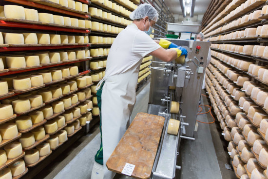 Allg&auml;uer Alpk&auml;se aus eigener Kultur